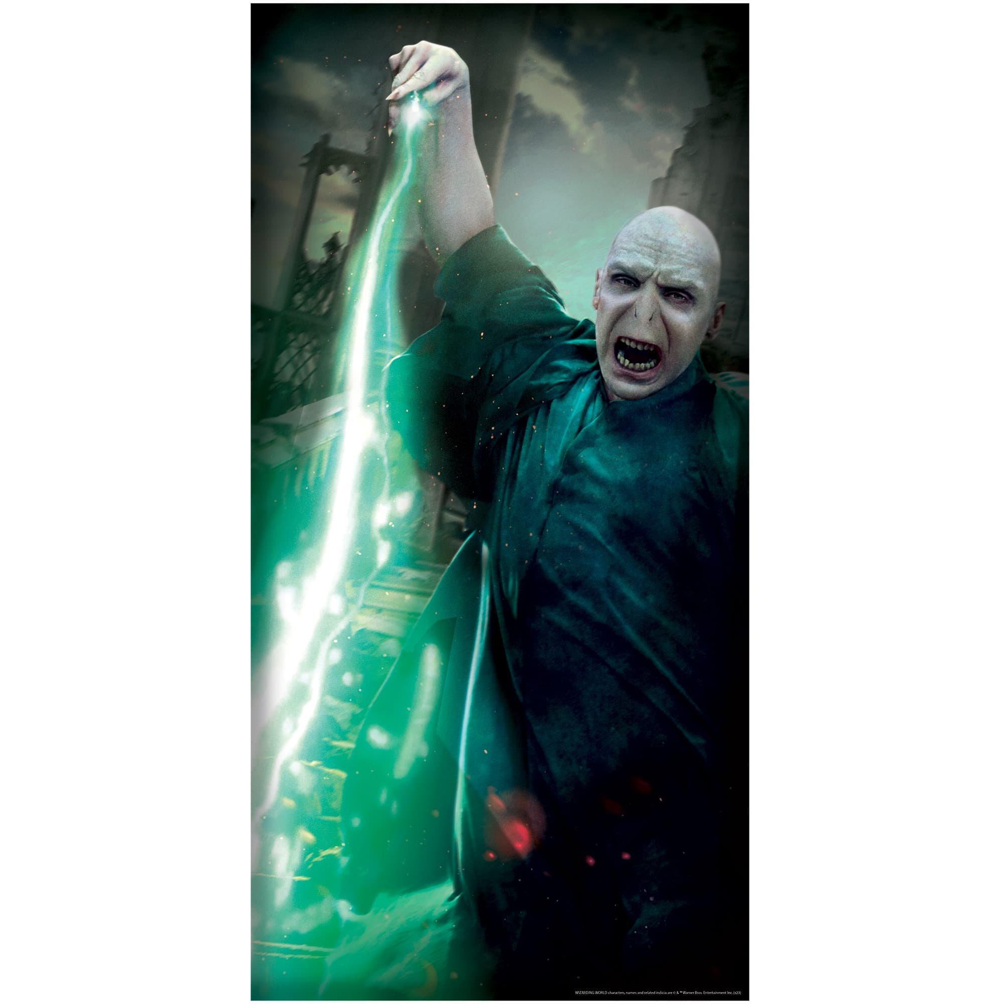 60-inch Harry Potter Voldemort Front Door Cover Decoration - Image 3