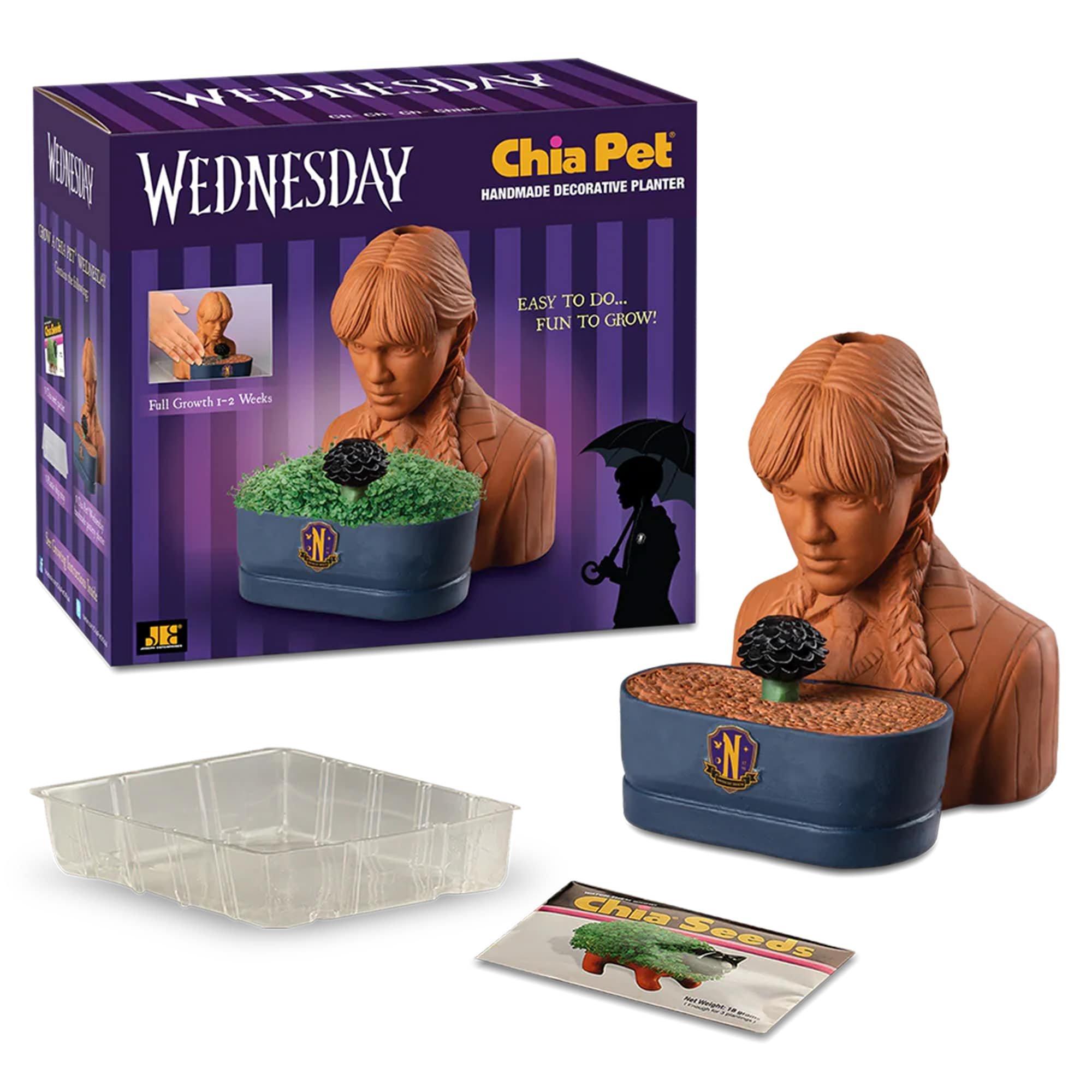 Addams Family Wednesday Chia Pet - Image 3