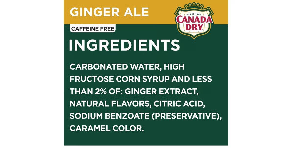 Canada Dry Ginger Ale (20 oz) - Image 4