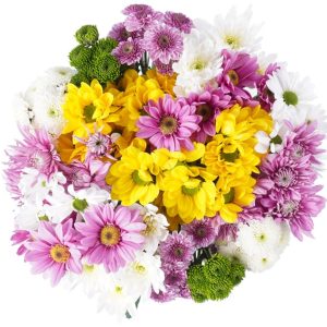 Darling Daisies Flower Bouquet (12 ct)