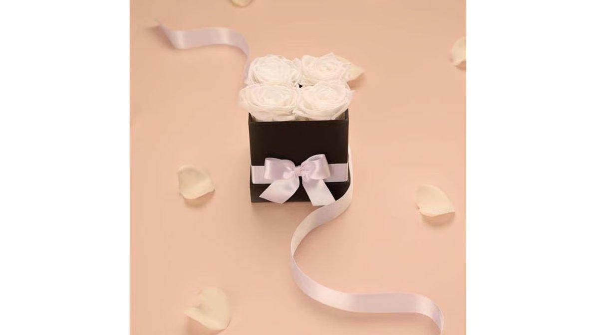 Princess White Preserved Roses Gift Box (4 ct) - Image 2
