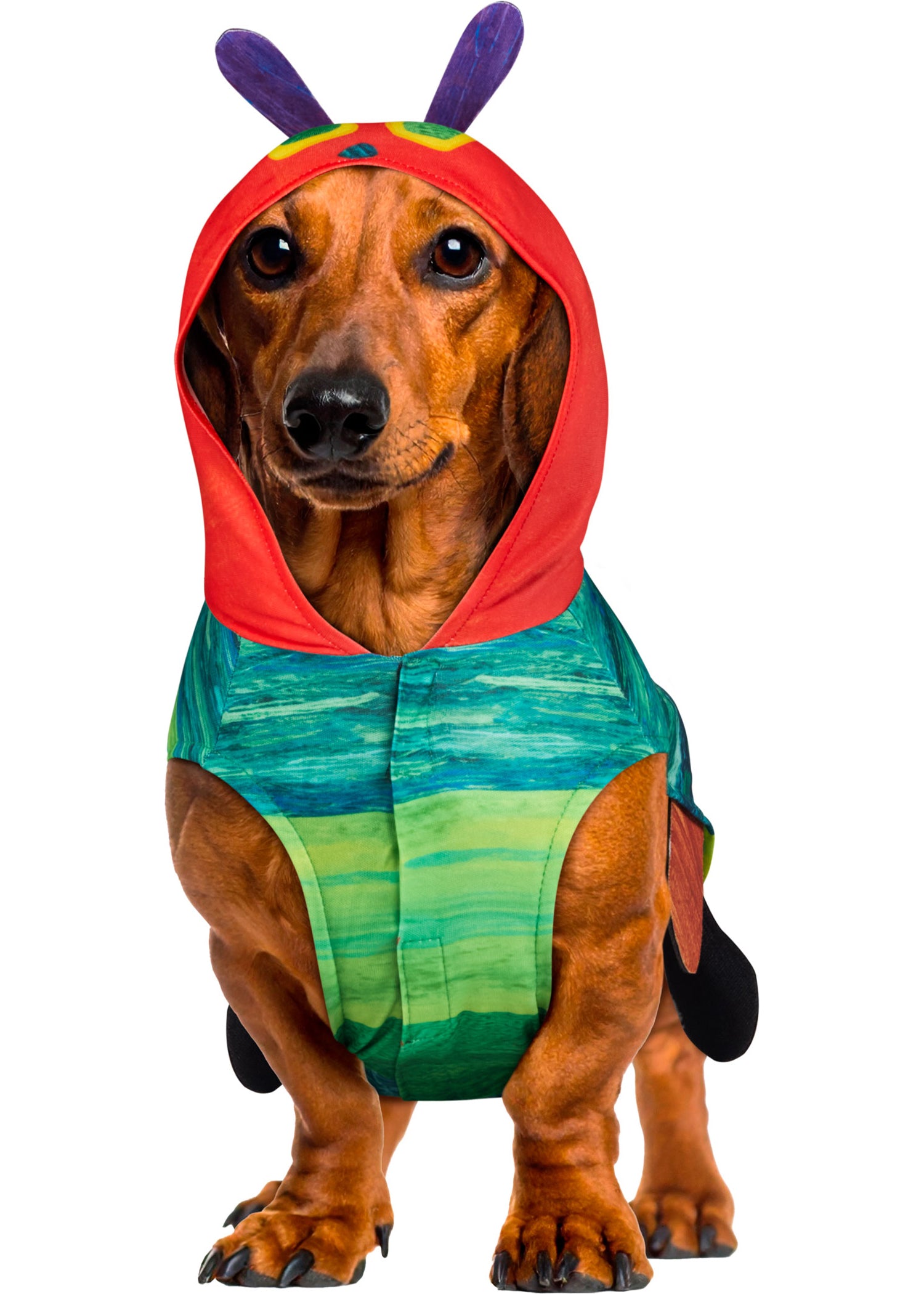 Very Hungry Caterpillar Pet Costume - Image 6