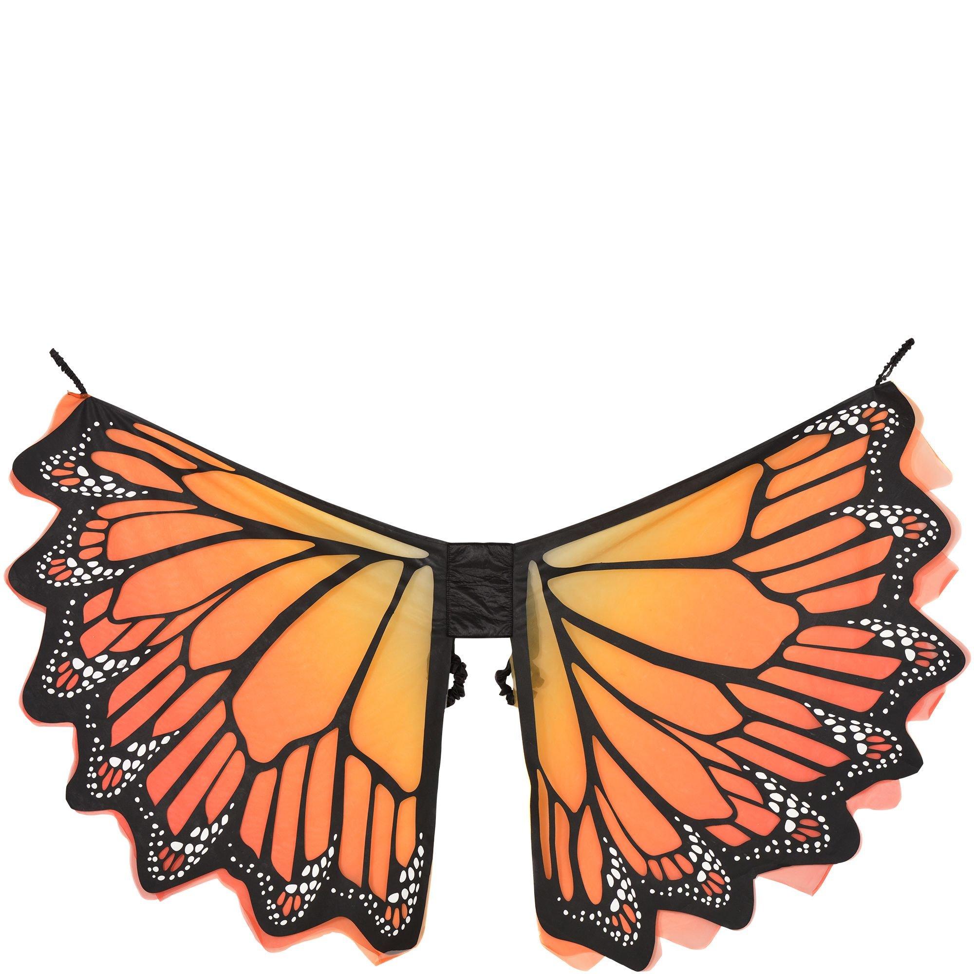 Adult Monarch Butterfly Wings - Image 2