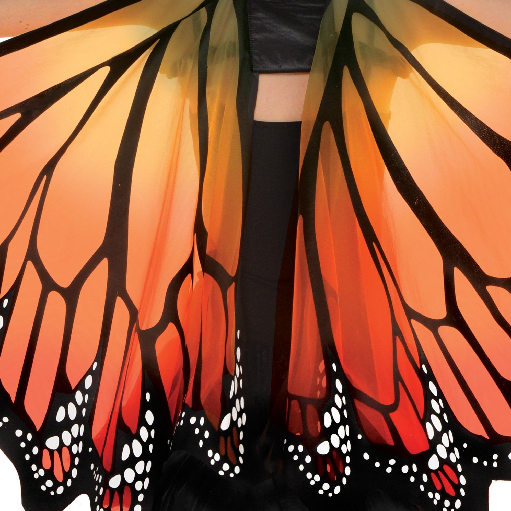 Adult Monarch Butterfly Wings - Image 4