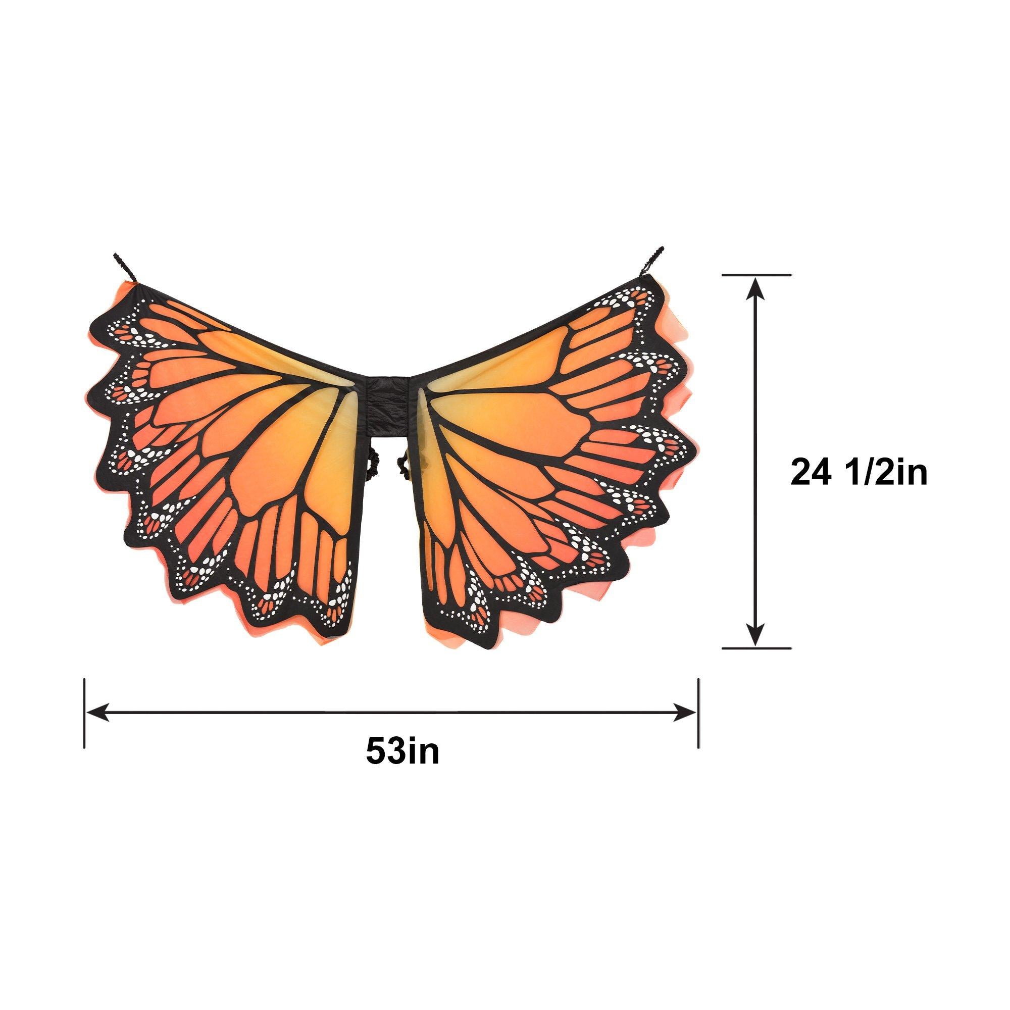 Adult Monarch Butterfly Wings - Image 6