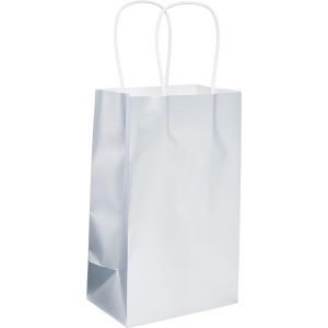 Small Silver Paper Gift Bag. 5.25in x 8.25in