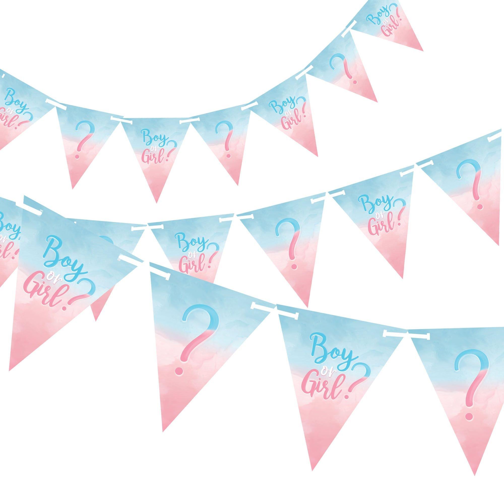 Boy or Girl? Gender Reveal Paper Pennant Banner. 15ft - The Big Reveal