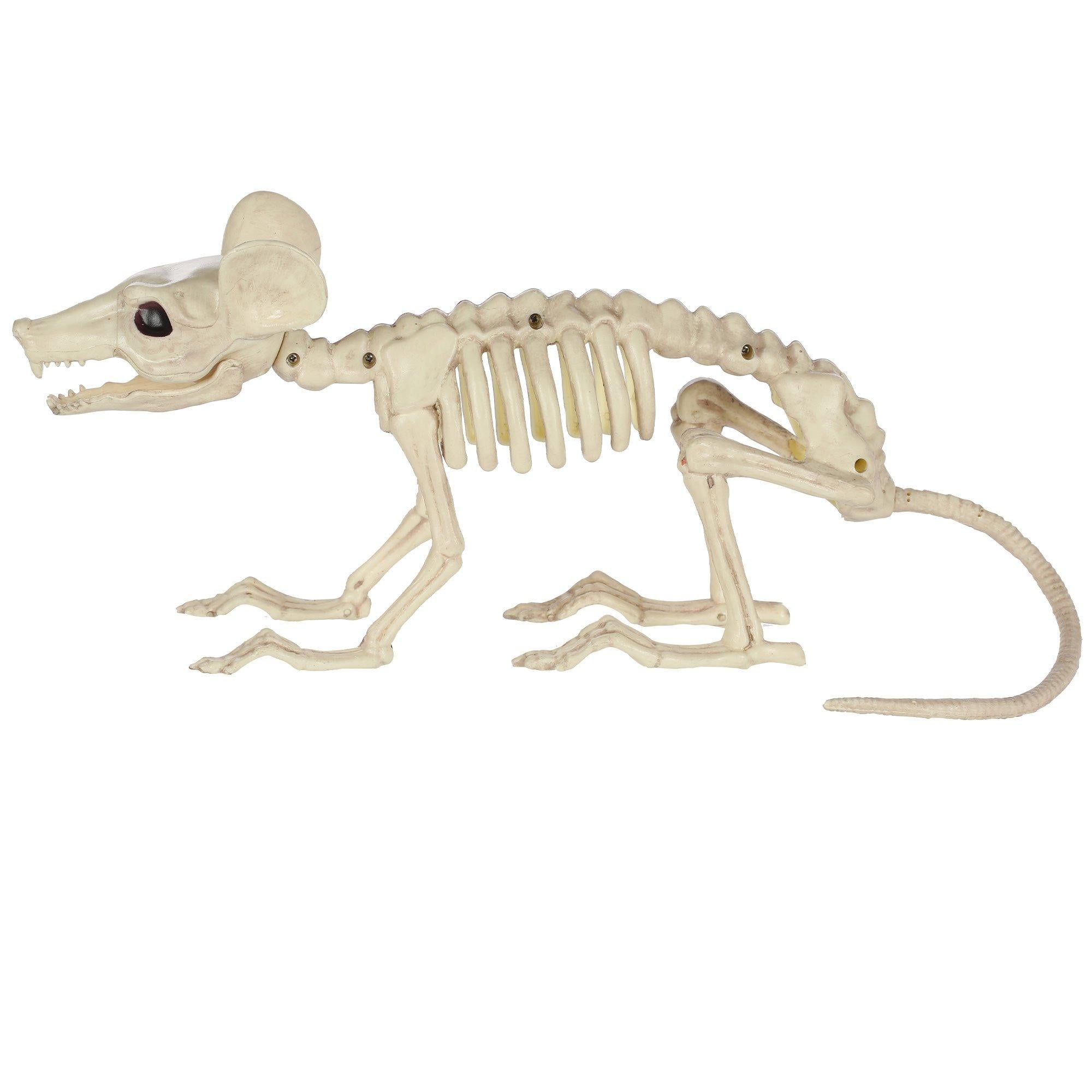 Large Plastic Rat Skeleton. 13.5in x 7in