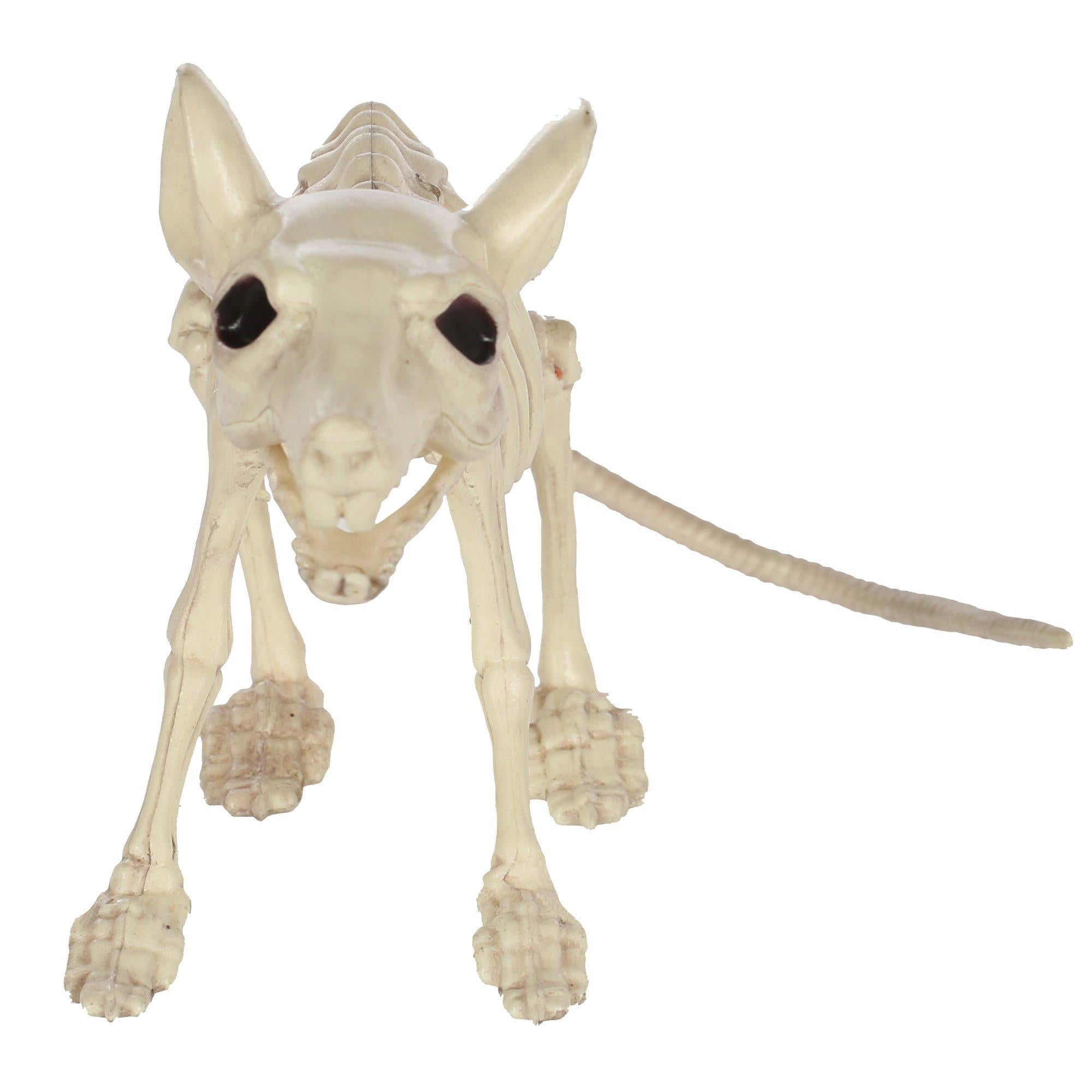 Large Plastic Rat Skeleton. 13.5in x 7in - Image 2