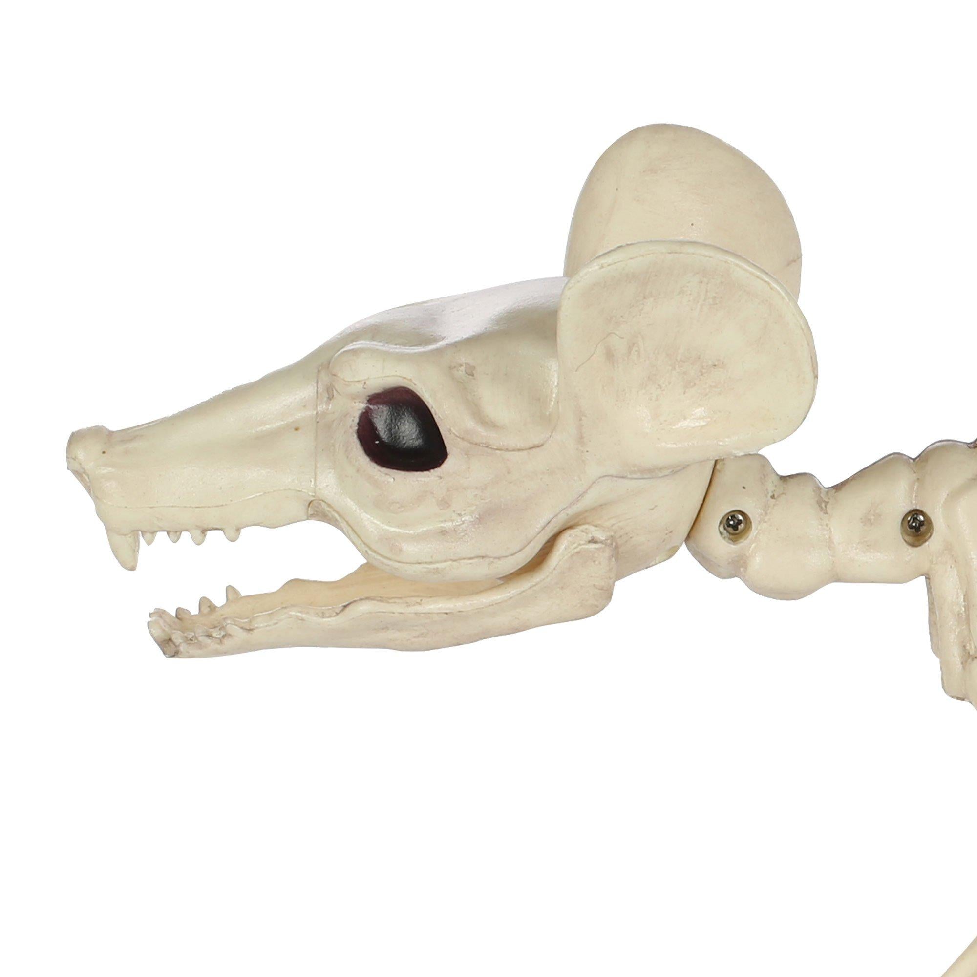 Large Plastic Rat Skeleton. 13.5in x 7in - Image 4