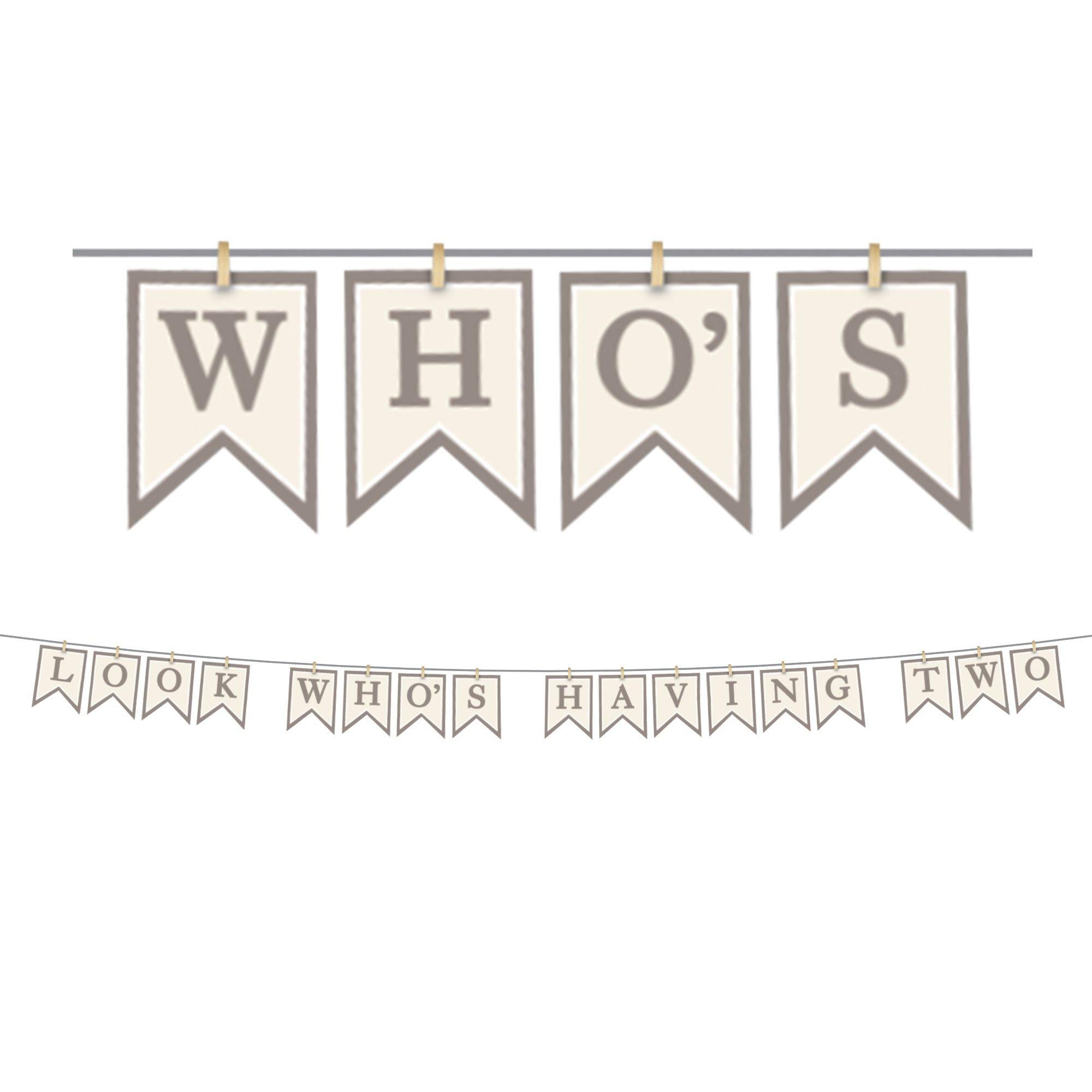 Look Who's Having Two Baby Shower Cardstock Pennant Banner. 12ft