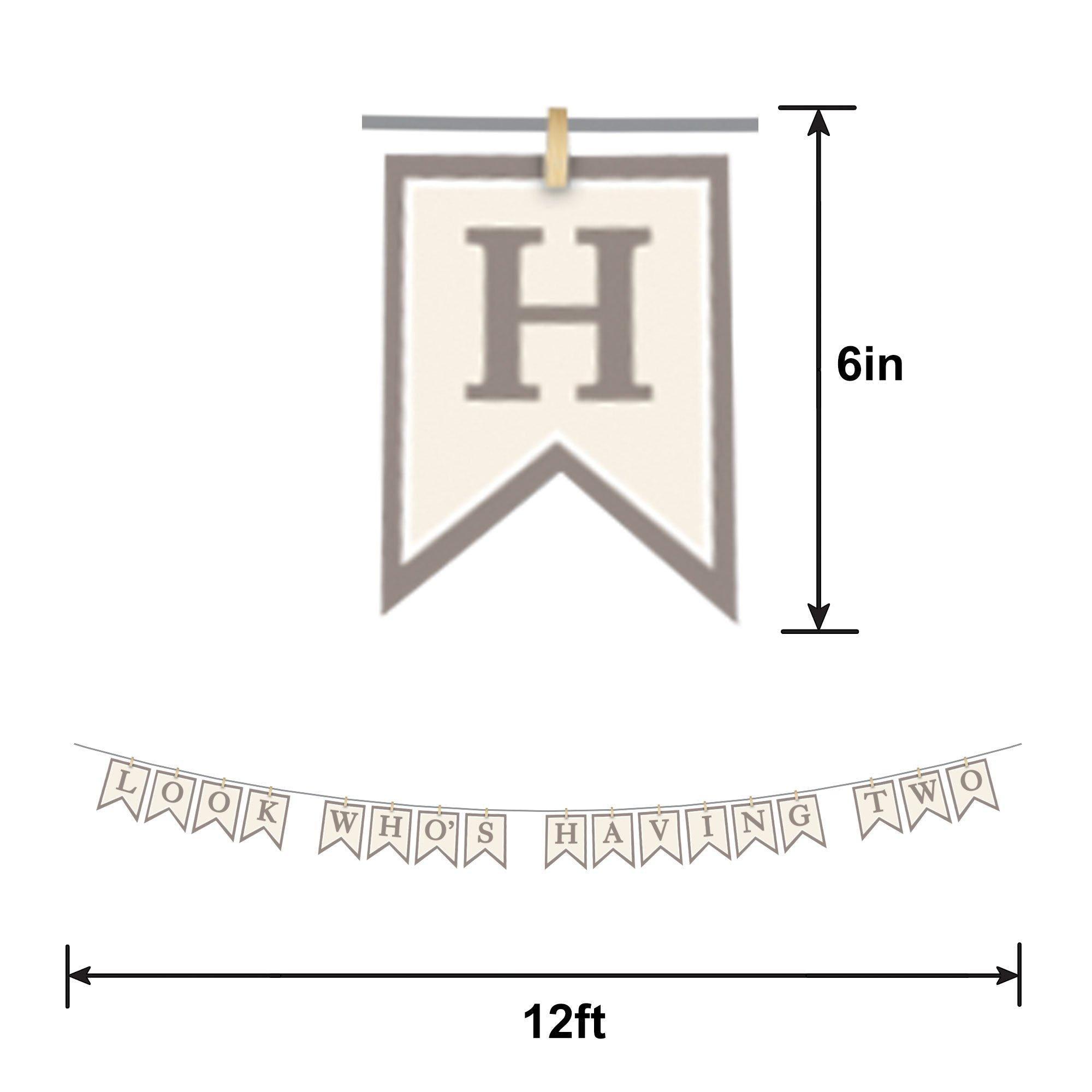 Look Who's Having Two Baby Shower Cardstock Pennant Banner. 12ft - Image 2