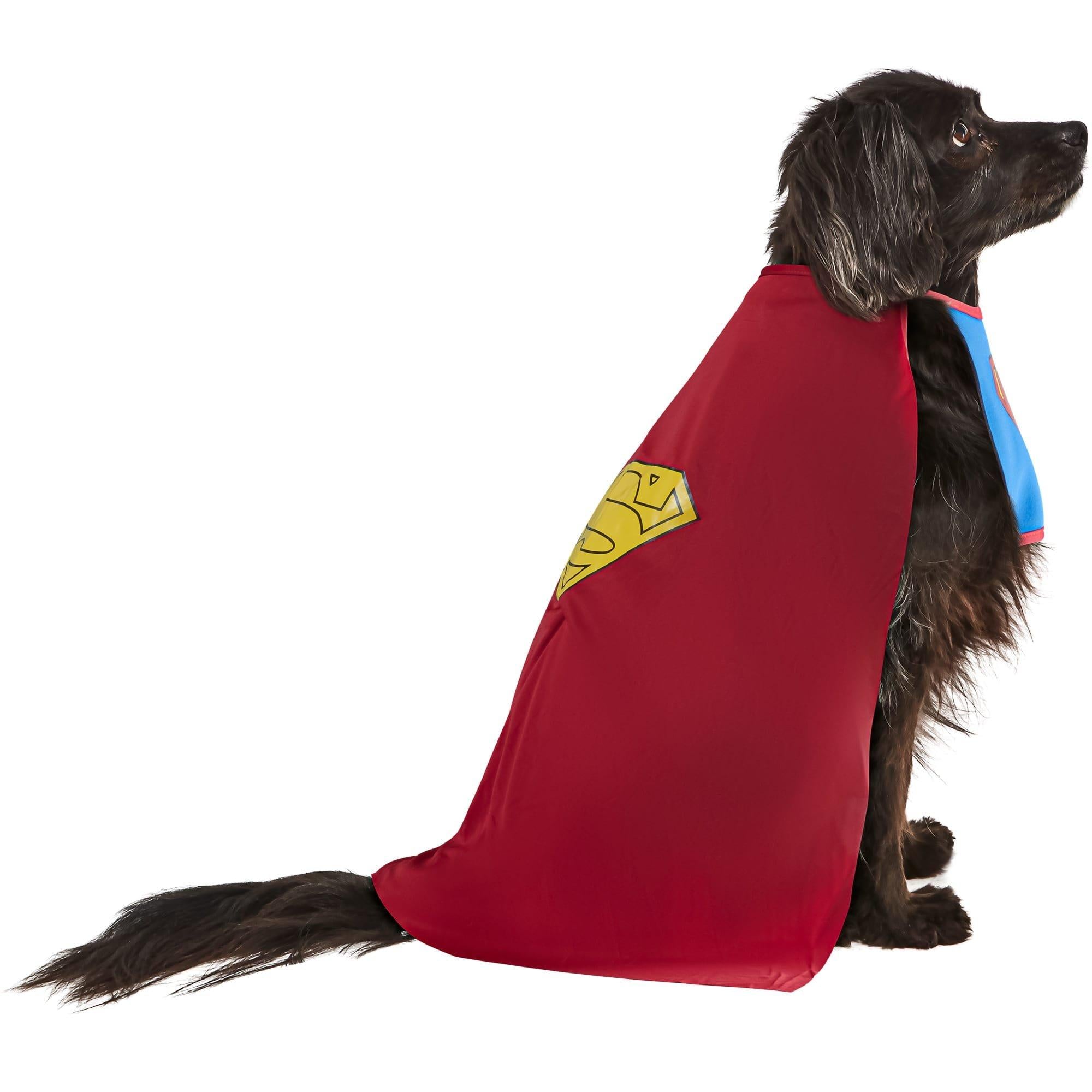 Superman Costume for Dogs - Image 2