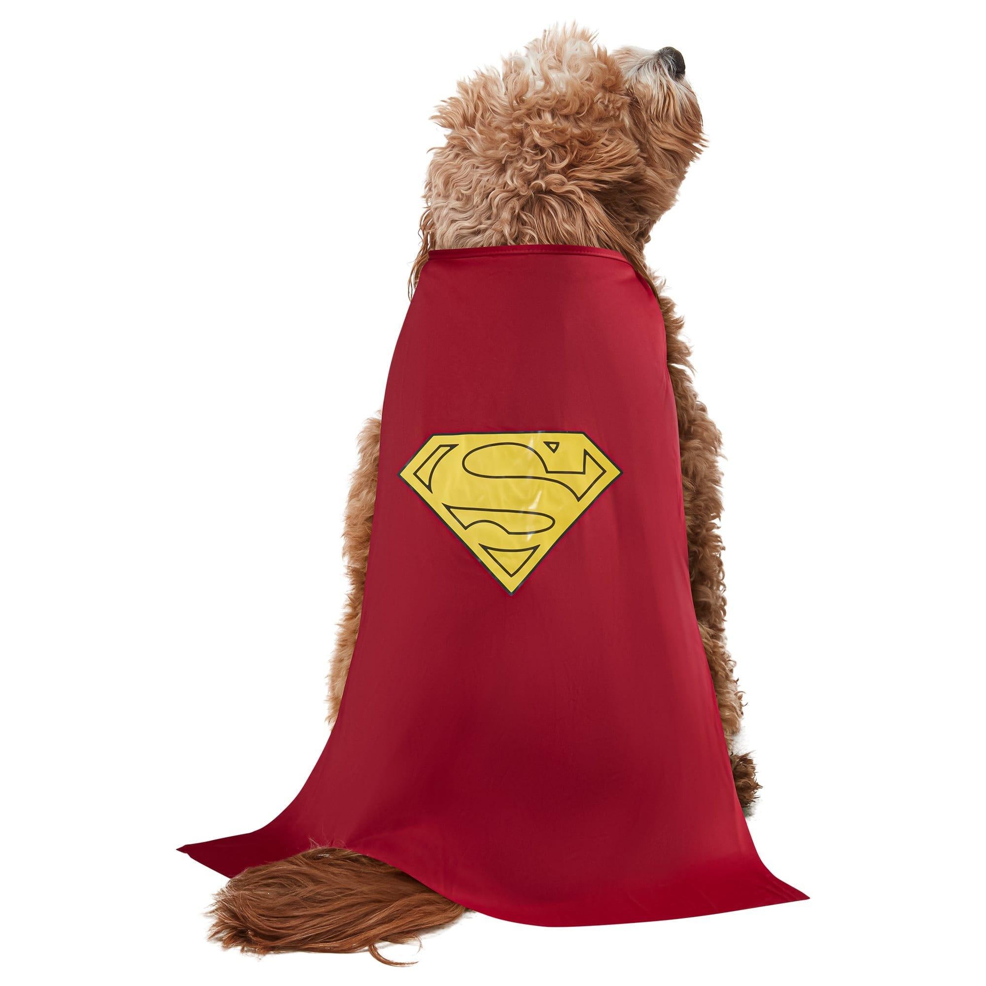 Superman Costume for Dogs - Image 3