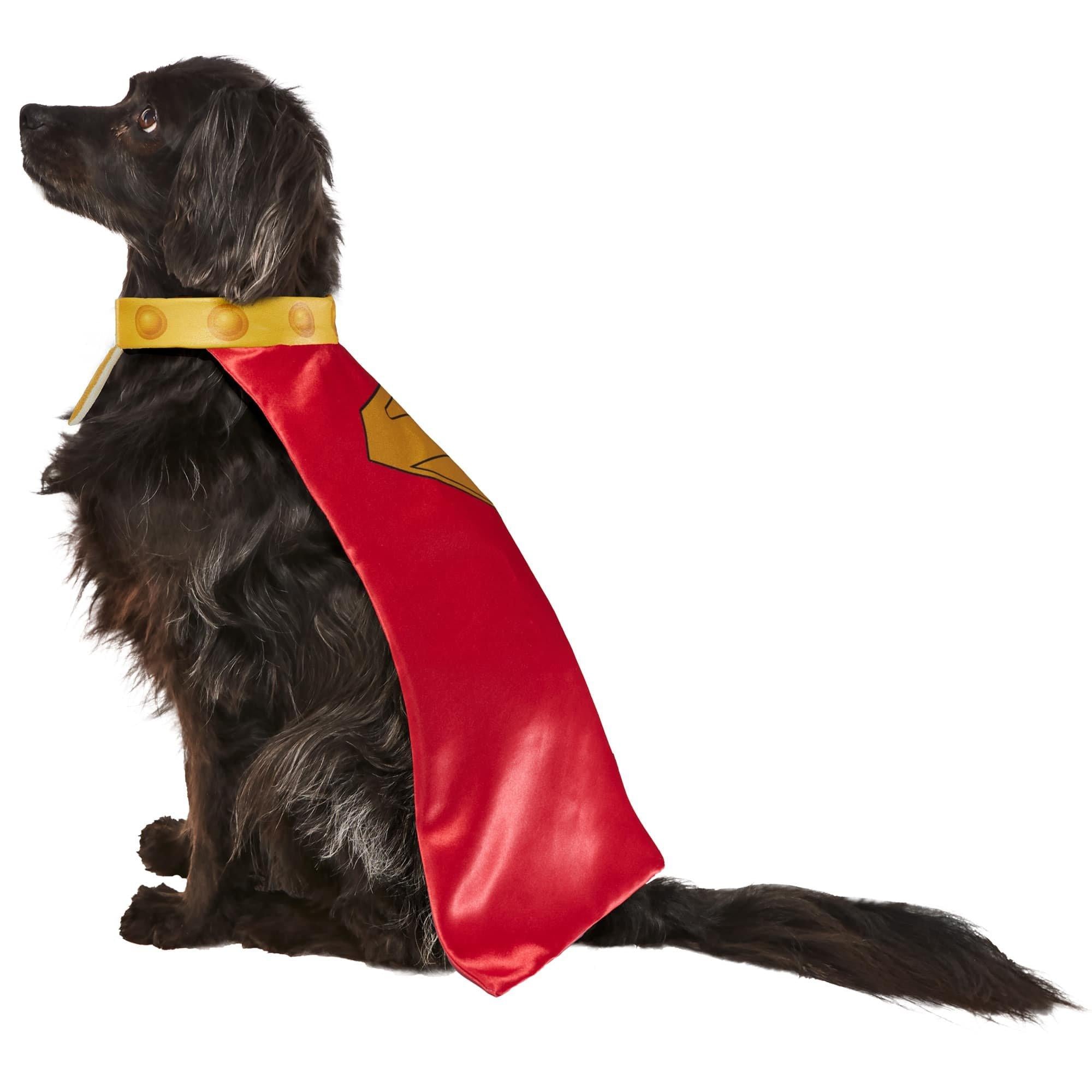 Krypto Pet Cape and Collar - Image 2