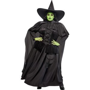 Women's Plus Size The Wizard of Oz Wicked Witch Costume