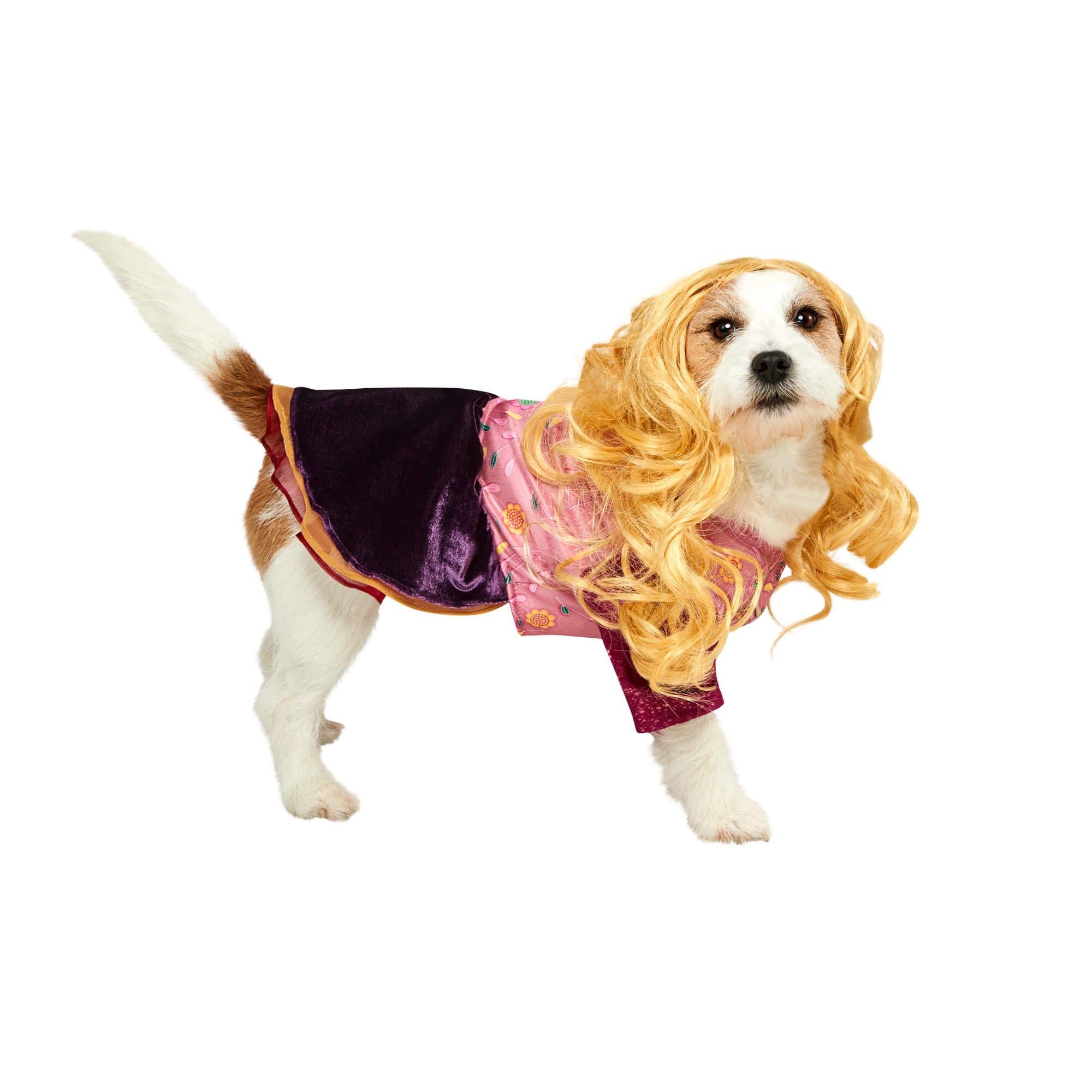 Hocus Pocus Sarah Pet Costume - Image 2