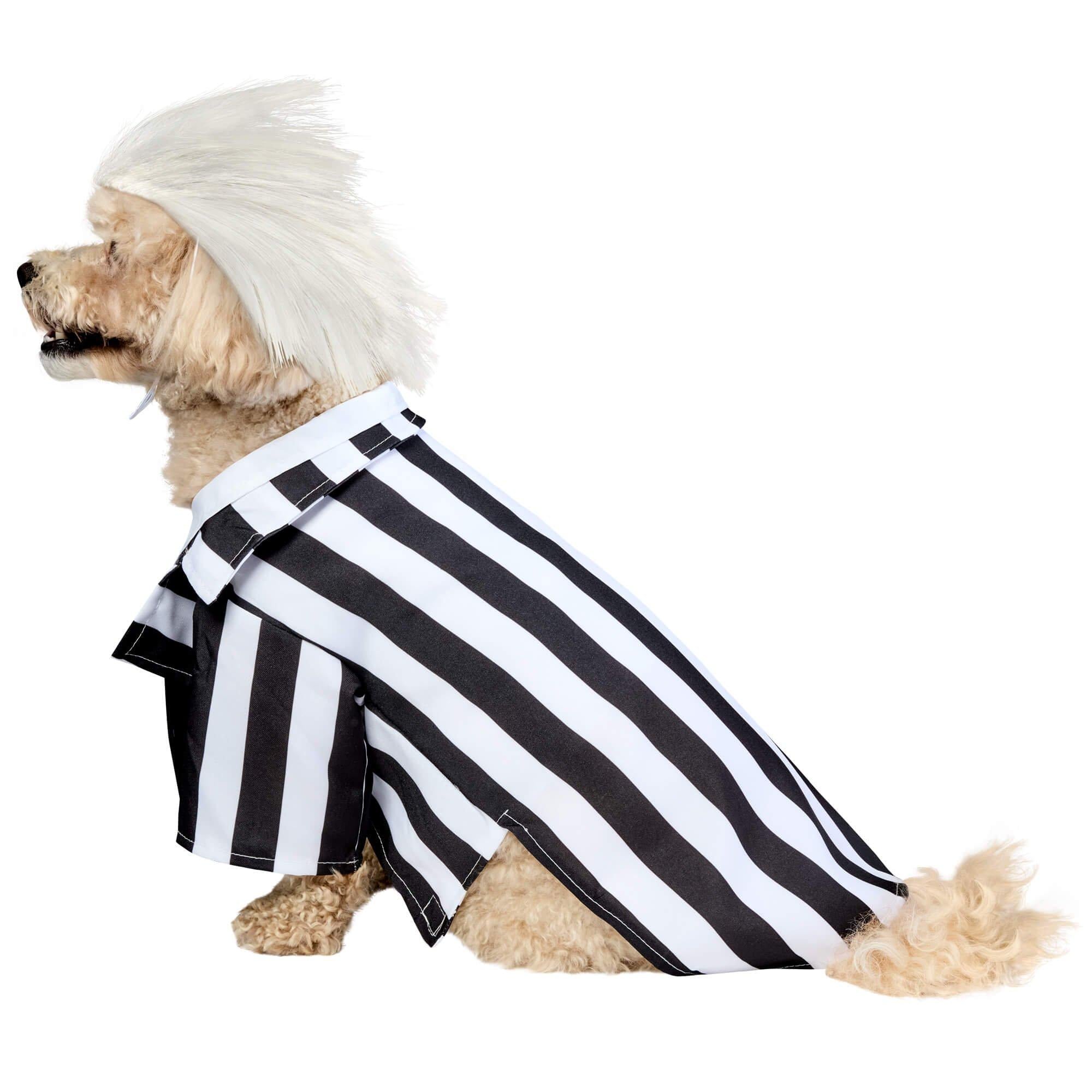 Beetlejuice Dog Costume - Image 2