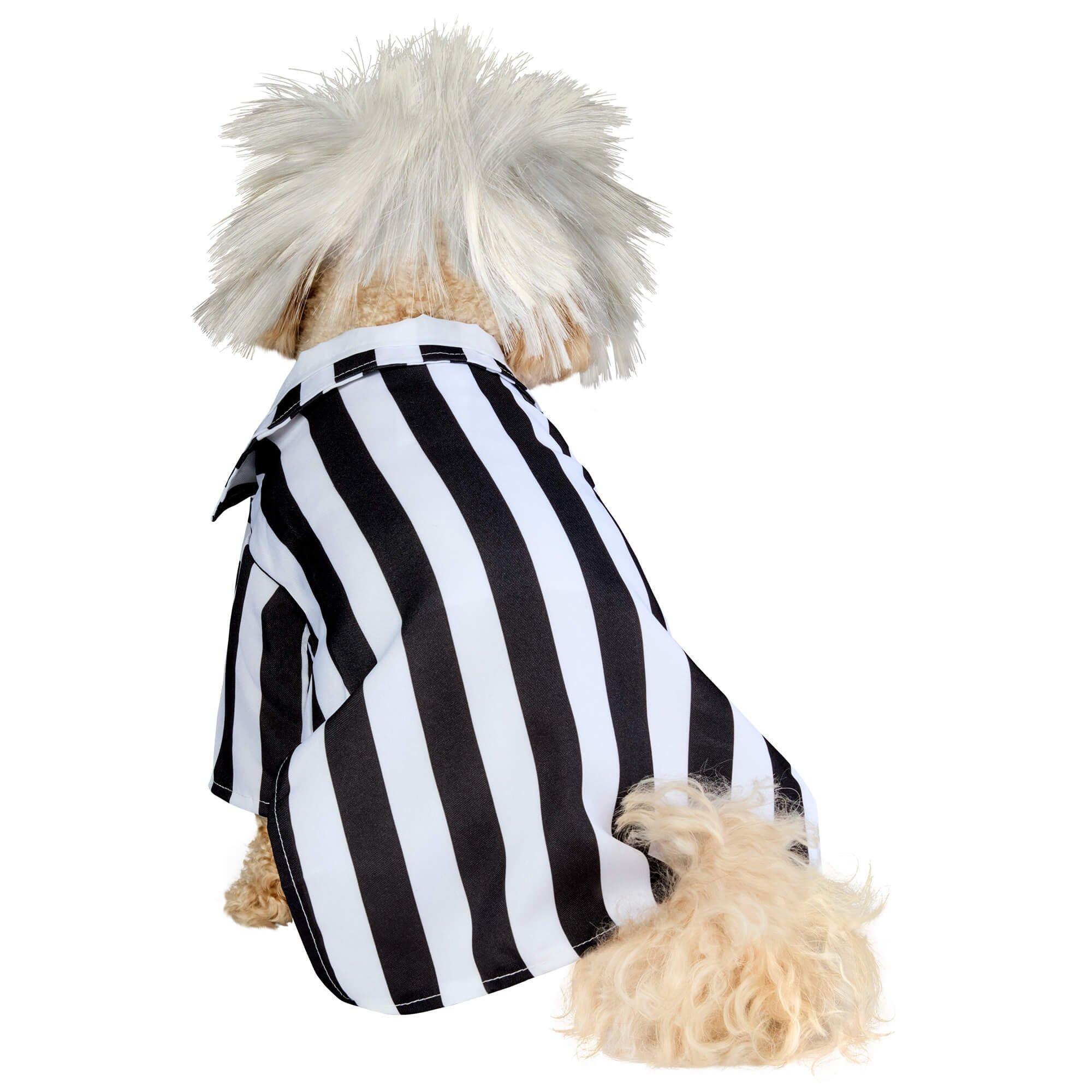 Beetlejuice Dog Costume - Image 3