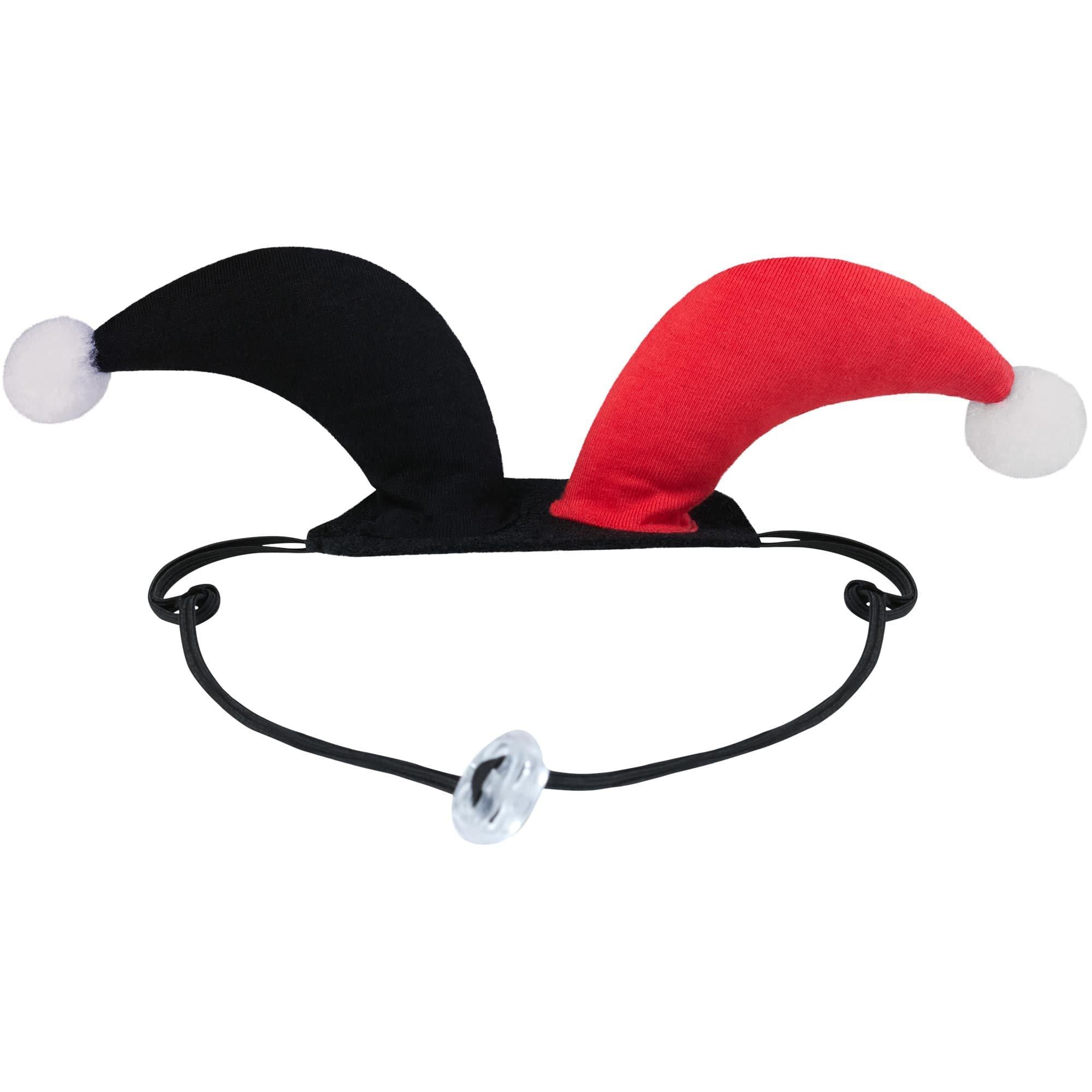 Harley Quinn Dog Costume - Batman - Image 5
